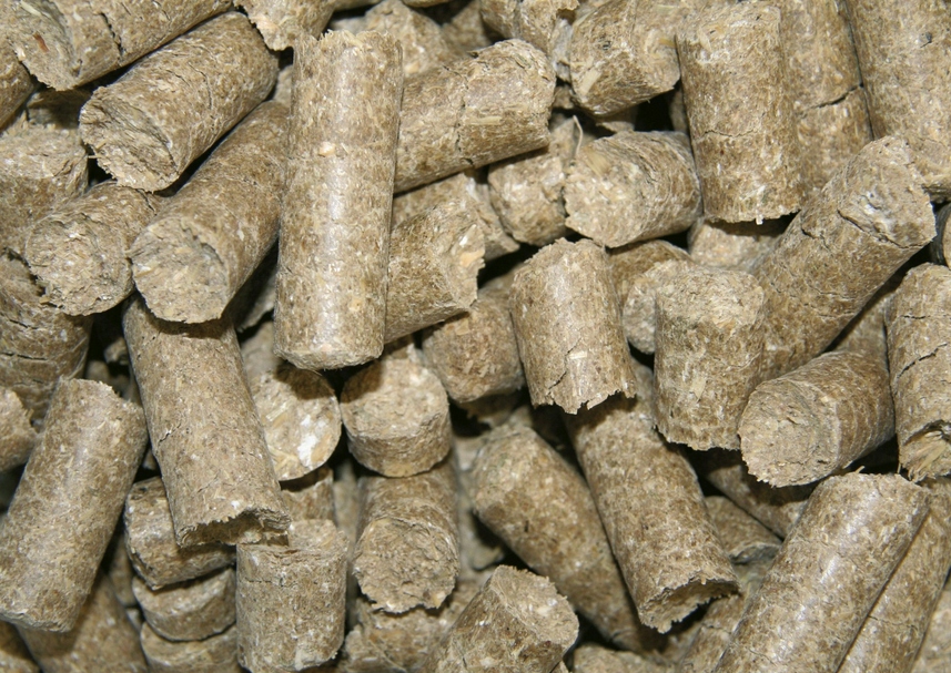 Cukierki dla konia Kerbl delizia marchewka 3 kg - obrazek 5