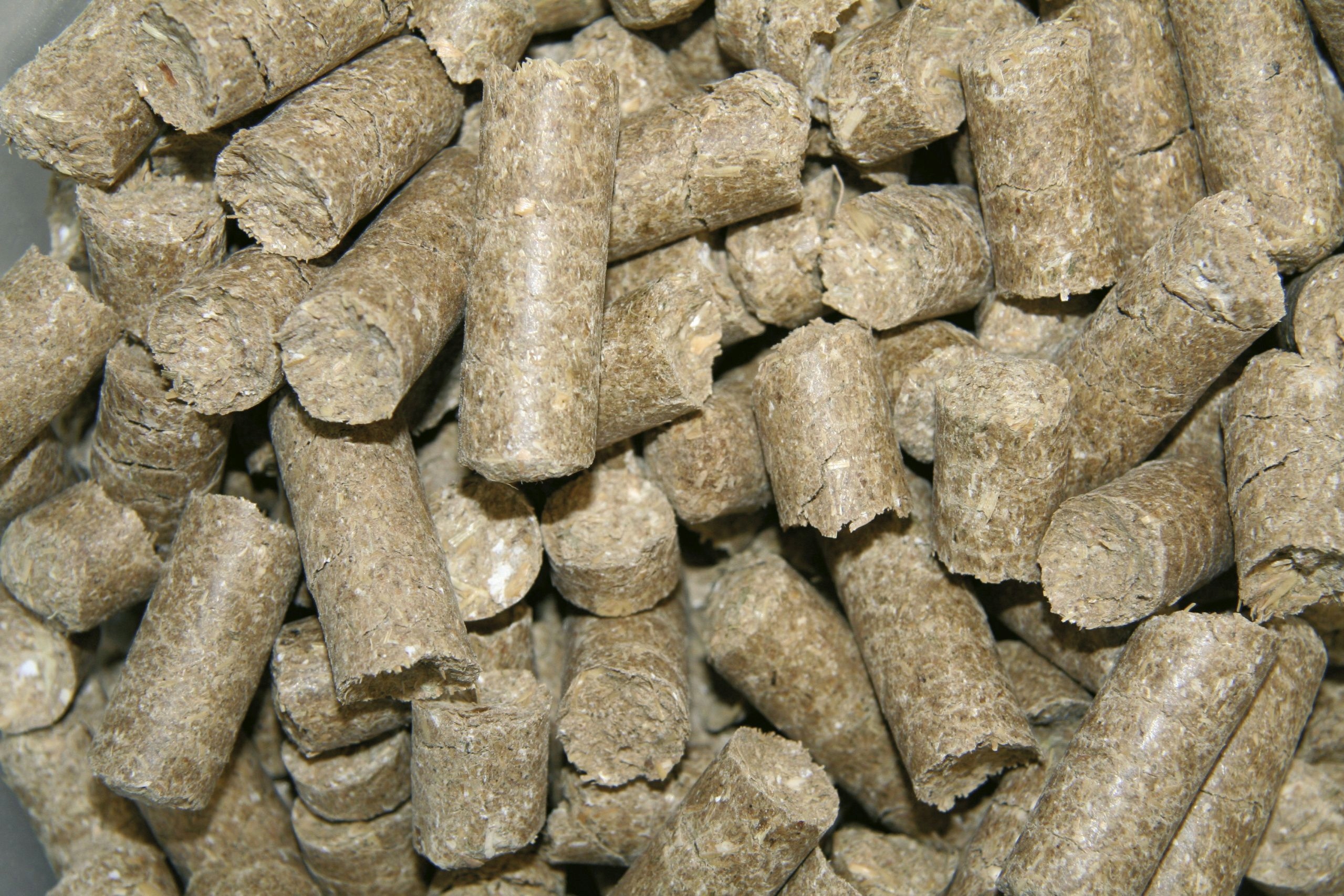 Cukierki smaczki dla konia marchew Kerbl Delizia 1 kg - obrazek 4