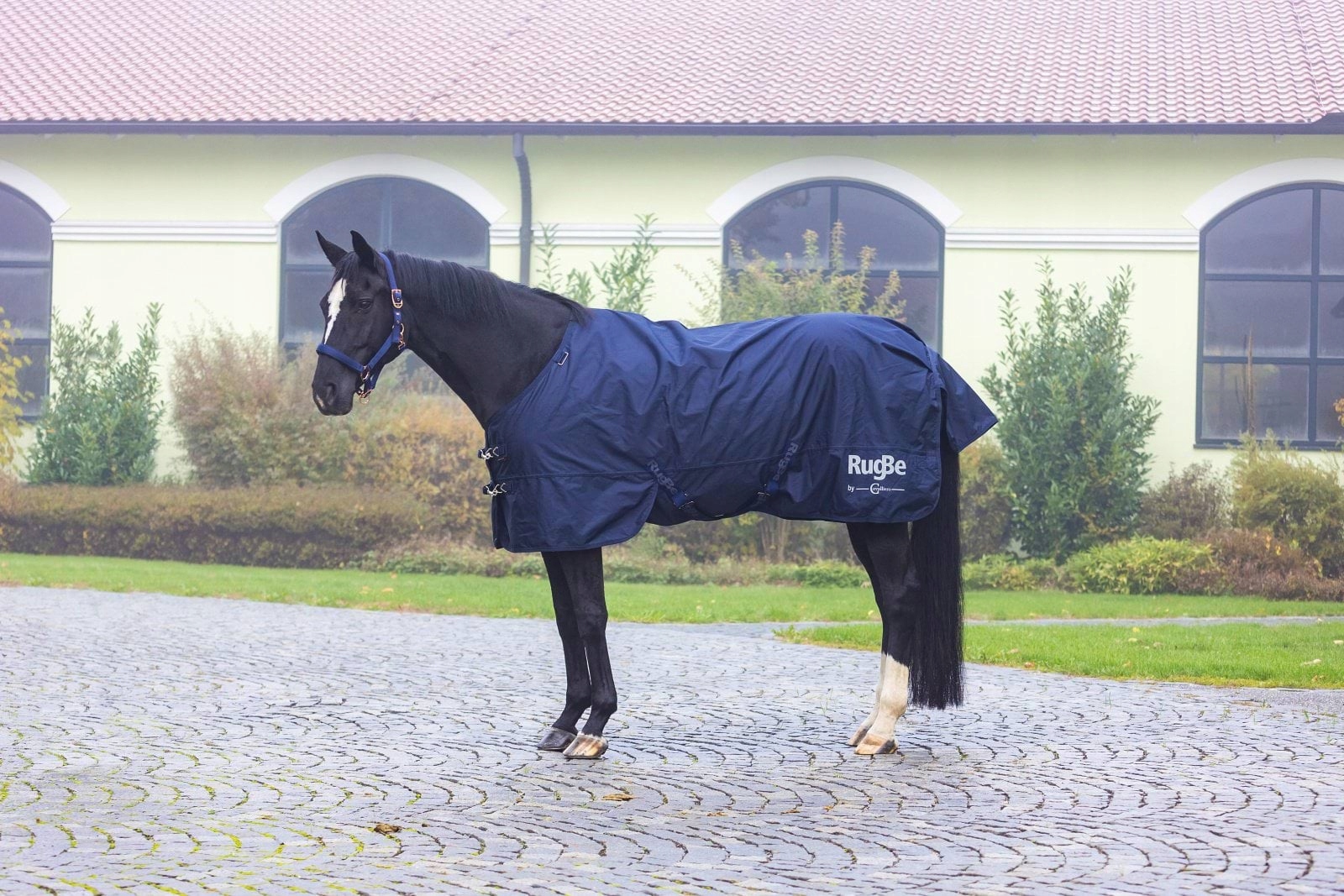 Derka Covalliero 3226350 - obrazek 4