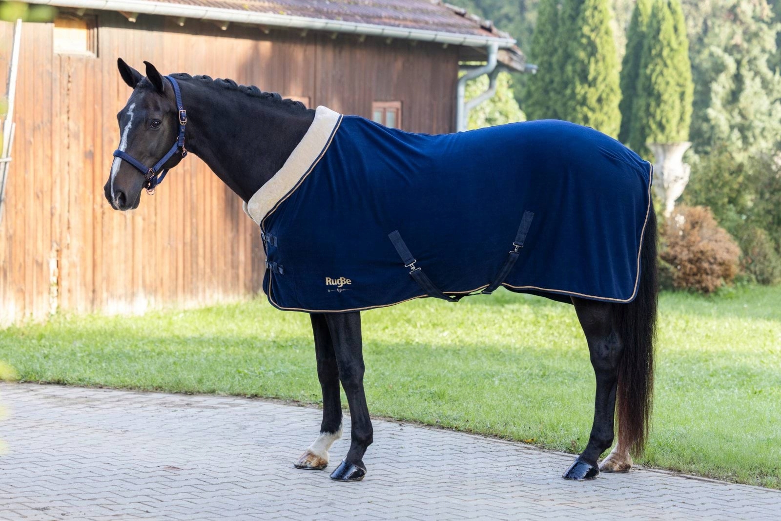 Derka Covalliero RugBe Royal - obrazek 5