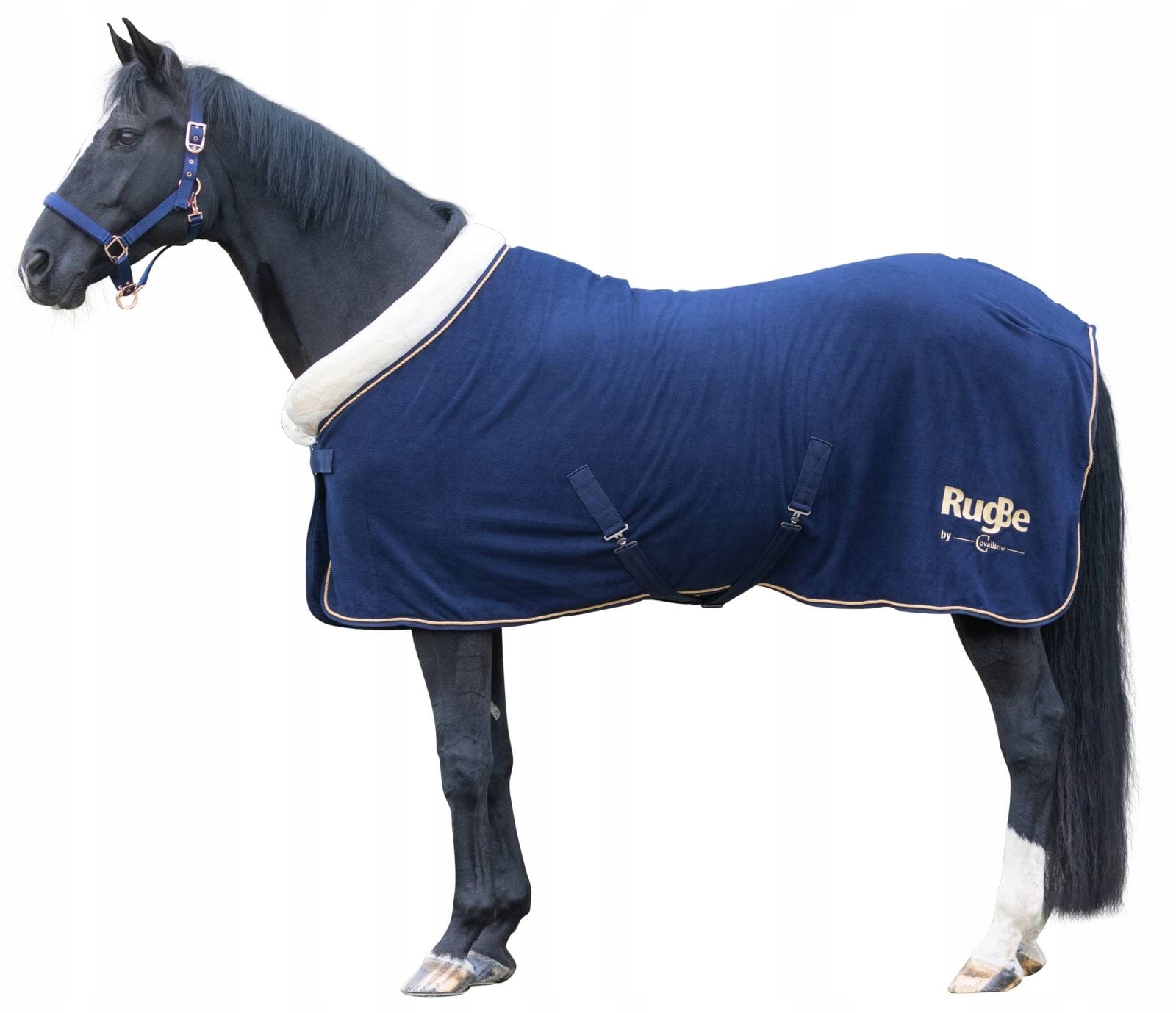 Derka Covalliero RugBe Royal - obrazek 7