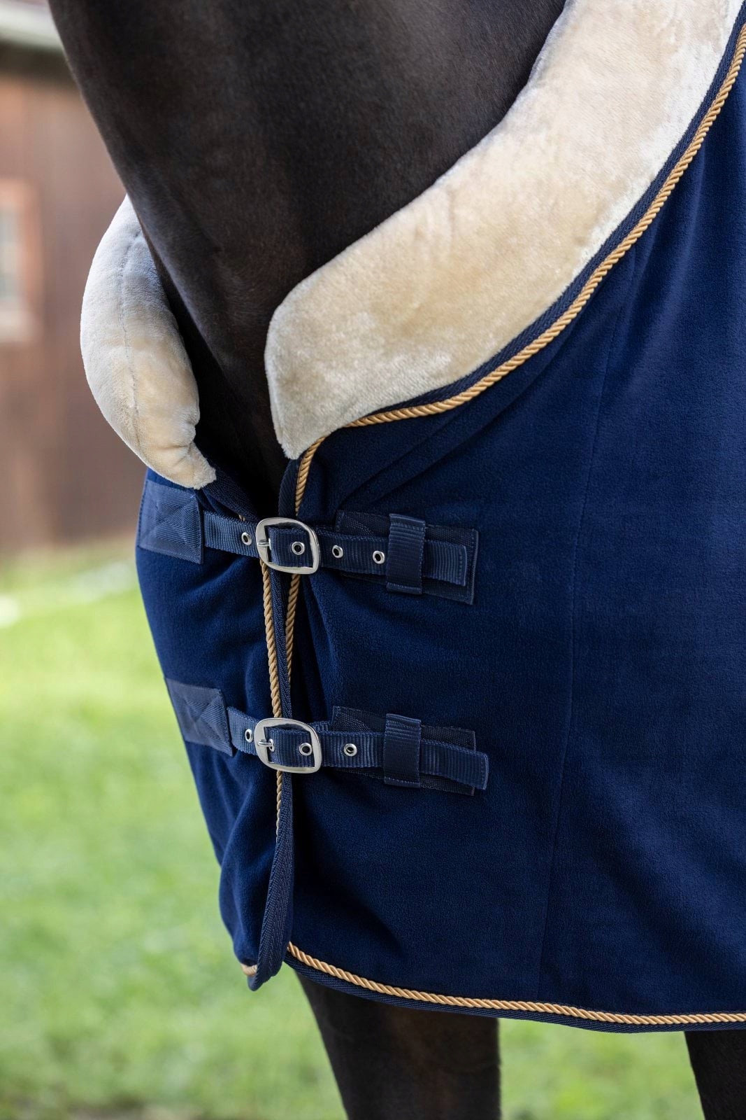 Derka Covalliero RugBe Royal - obrazek 4