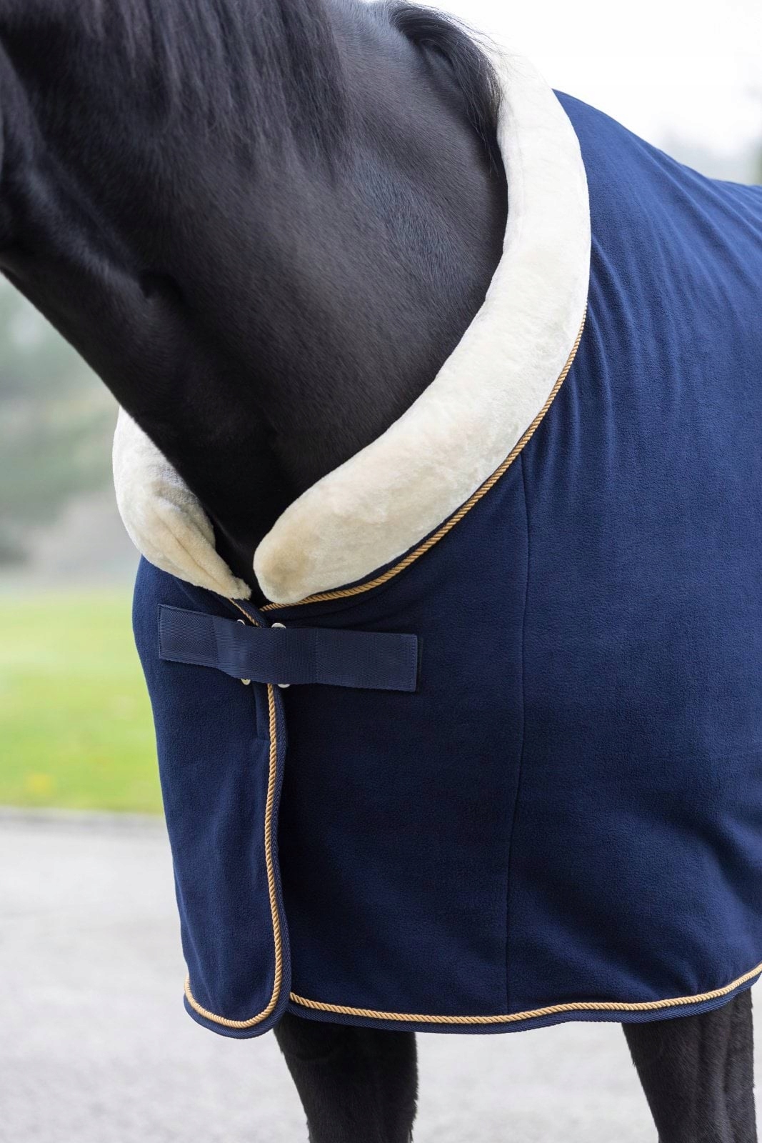 Derka Covalliero RugBe Royal - obrazek 9