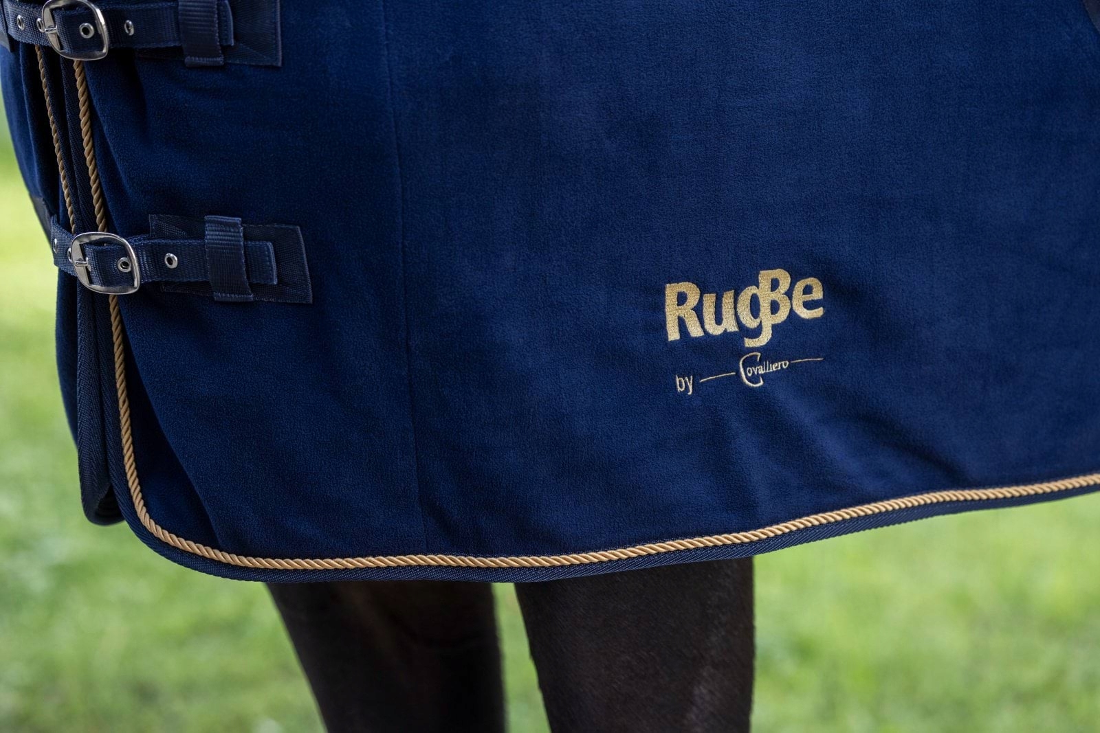 Derka Covalliero RugBe Royal - obrazek 6