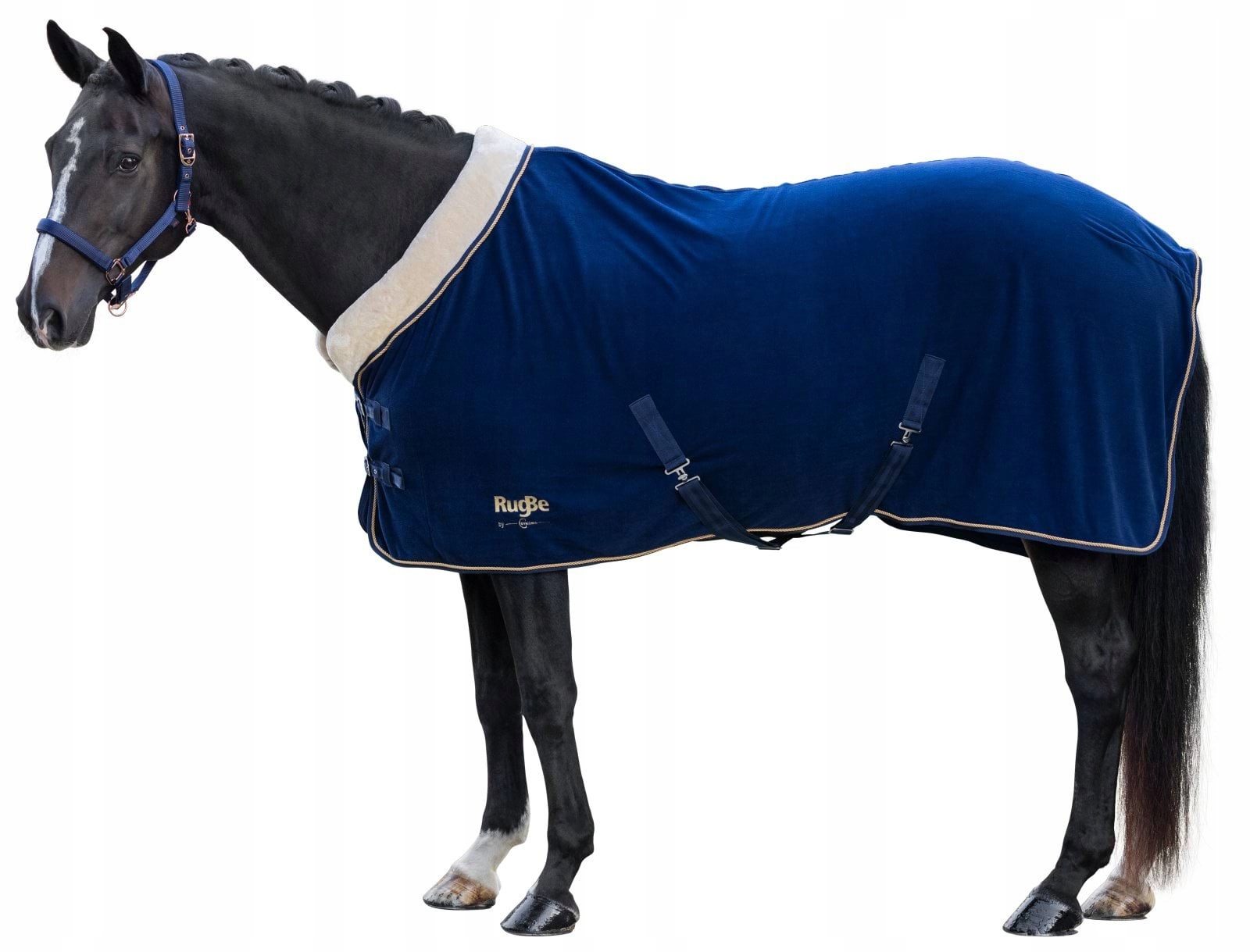 Derka Covalliero RugBe Royal - obrazek 12
